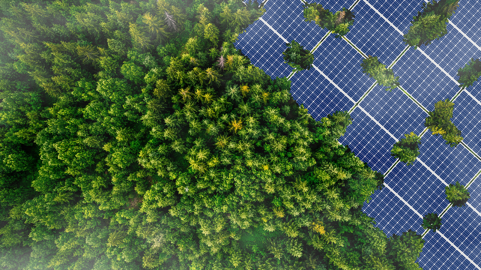 Fotovoltaico